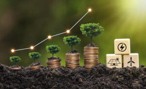 money growing with swiss francs